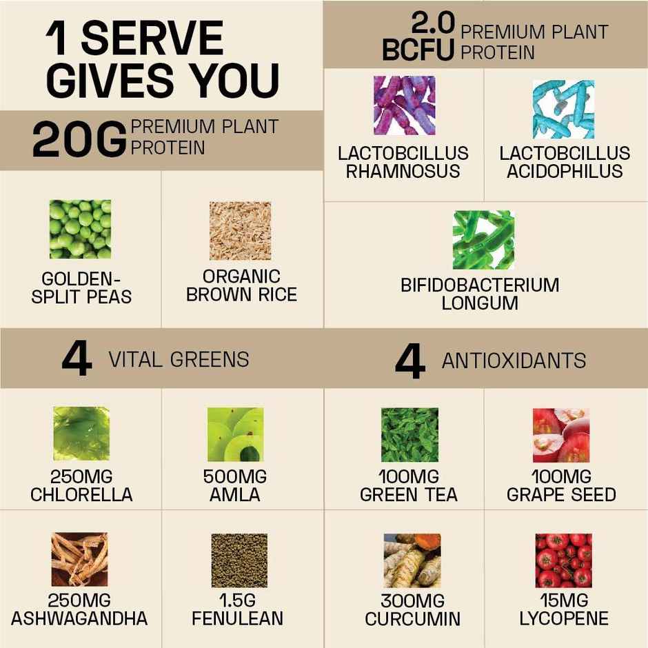 Ace Blend Daily Plant Protein Mix Pack of 4 Flavours