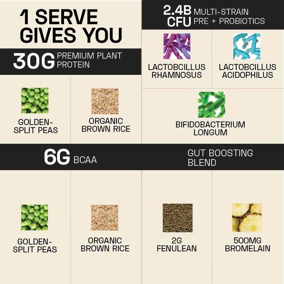 Ace Blend Intense Plant Protein Mix Pack of 4 Flavours