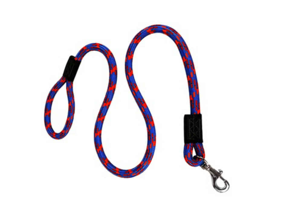 Bearhugs Essential Reflective Rope Leash (Royal Blue) (Small)
