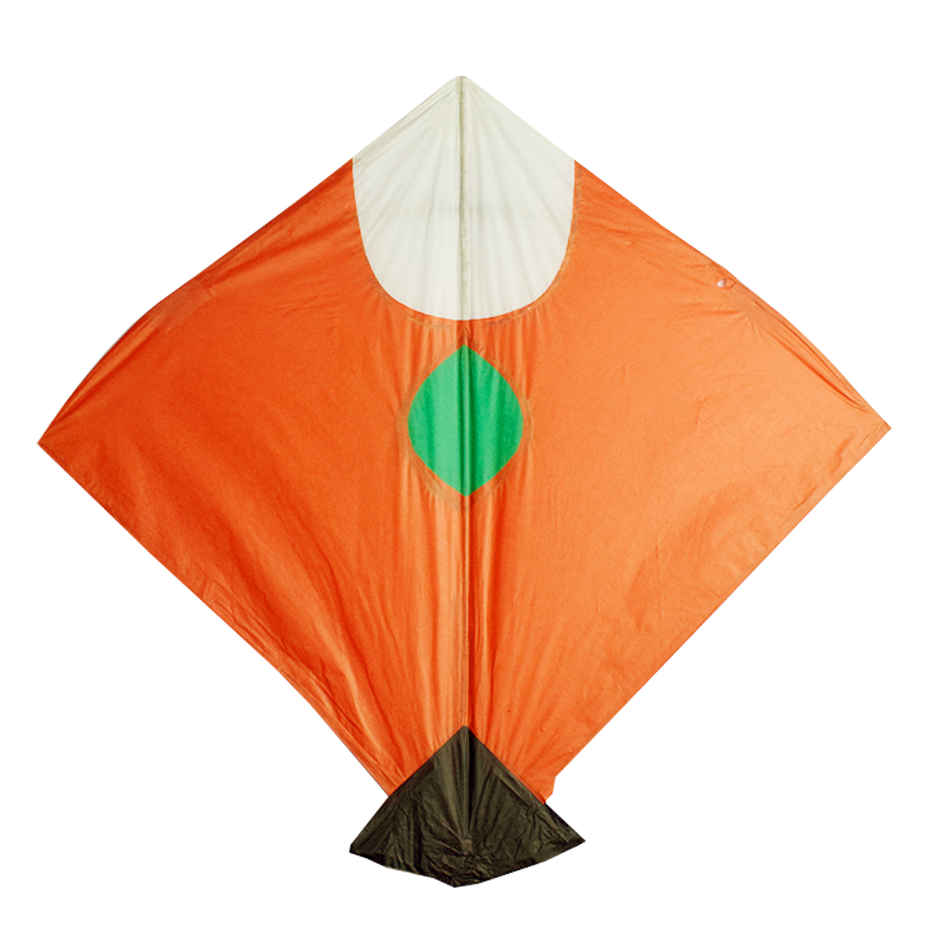 Paper Kite | Color and Design May Vary | Pack of 5 | Patang | Festaholic
