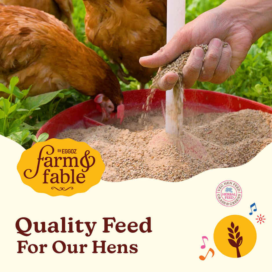 Eggoz Free Range Herbal Fed Brown Eggs