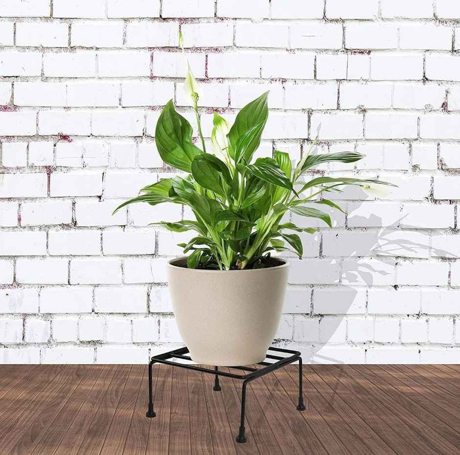 Homeharmony Metal Planters | Square Shaped | Black | For Planter Indoor and Outdoor