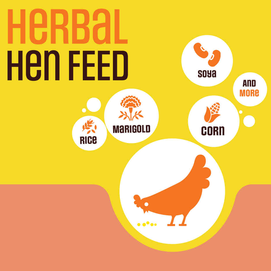 Eggoz Everyday White Farm Fresh Eggs