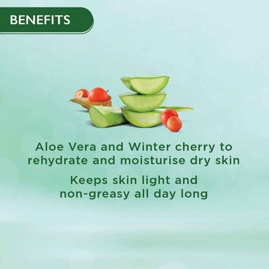 Himalaya Wellness Company Nourshing Skin Cream