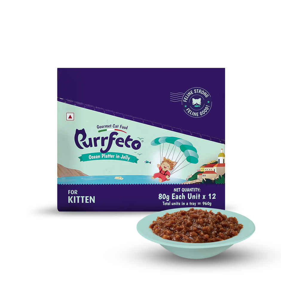 Purrfeto Wet Cat food Oceanfish recipe in Jelly | Kitten | Pack of 12