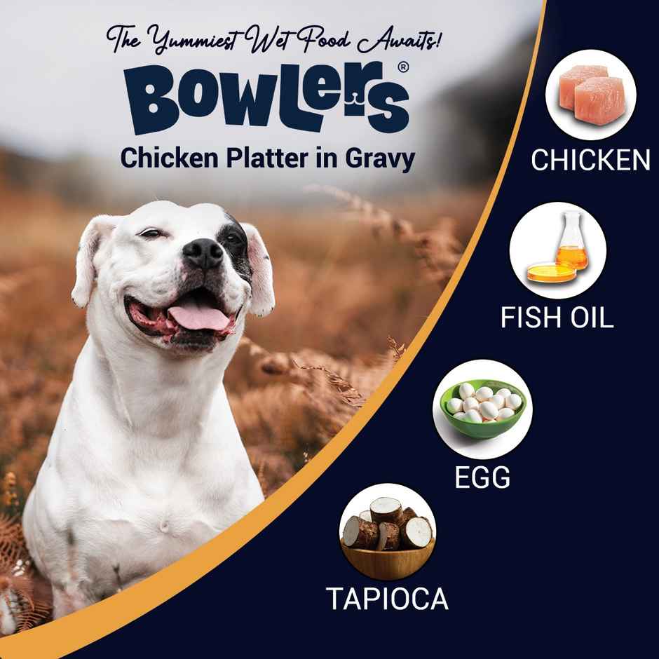 Bowlers Wet Dog FOOD Chicken Recipe In Gravy