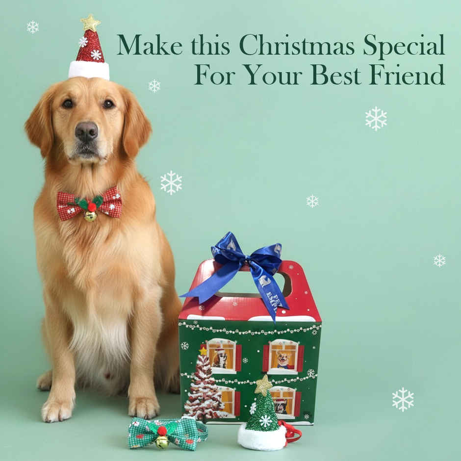 Moochie Dog Wet Food Christmas Hamper | 13 Pouches