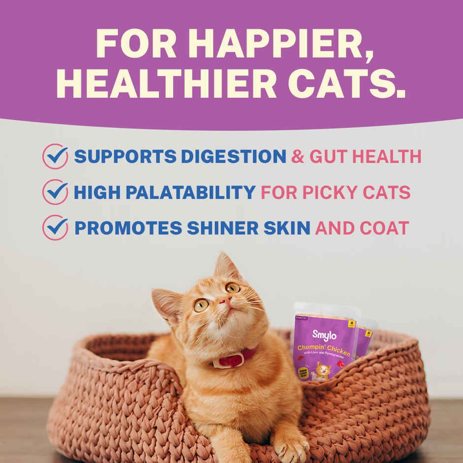Smylo Adult Chicken Liver Wet Cat Food Fresh Preservative Free For Shiny Coat Healthy Digestion