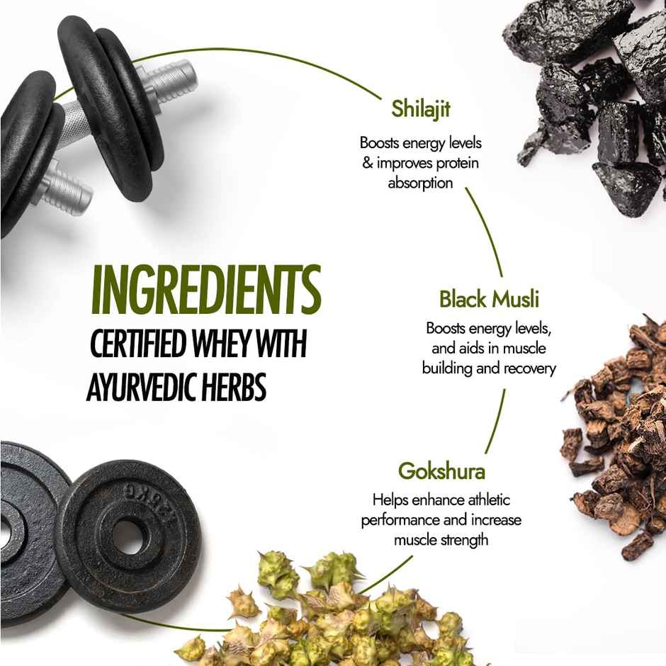 Kapiva HIm Foods Testofuel Shilajit Whey Fast Absorb Protein - Cookies & Cream Flavor