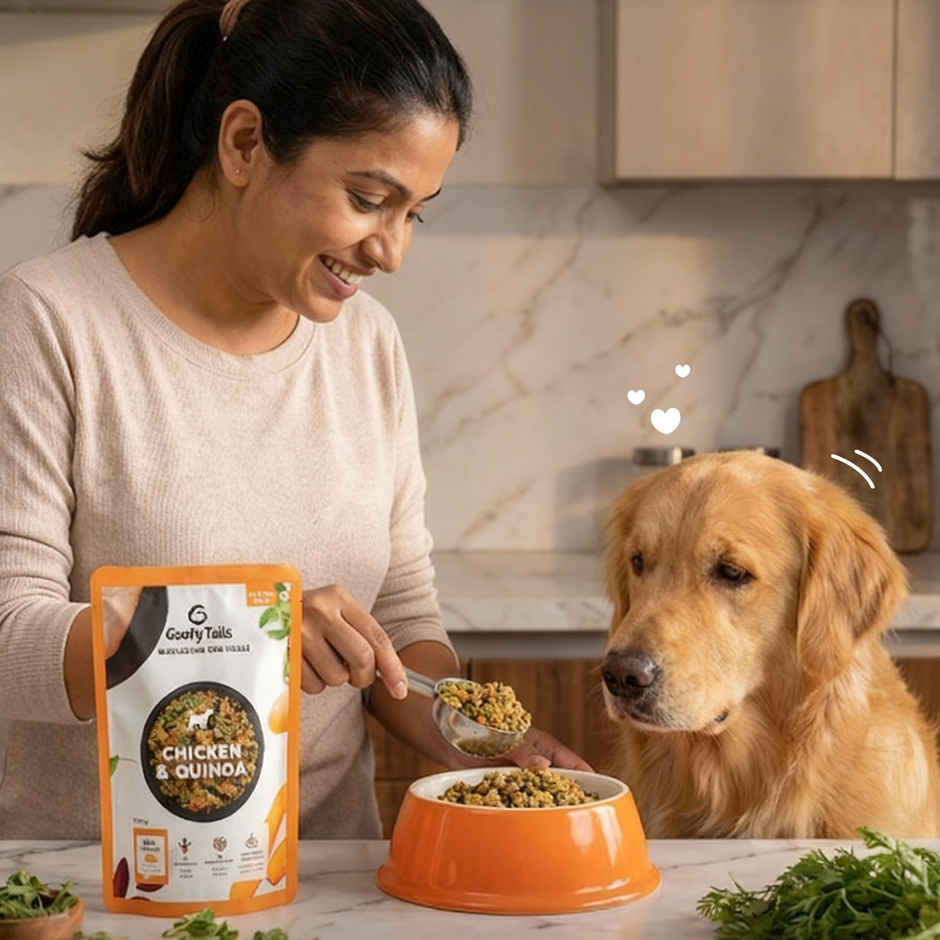 Goofy Tails Chicken & Quinoa Fresh Dog Food | Gluten Free | Wet Dog and Puppy Food