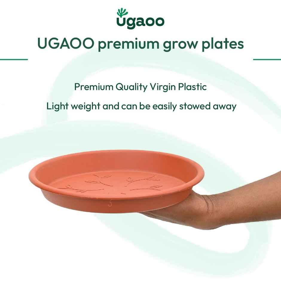 Ugaoo UV Treated Gardening Plastic Tray Plate | Saucer Pots - 10 in | Brown | Terracotta | Set of 6