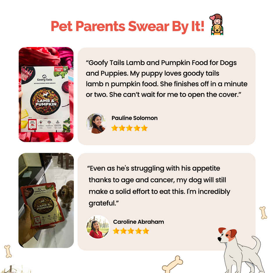 Goofy Tails Lamb & Pumpkin Fresh Dog Food | Gluten Free | Wet Dog and Puppy Food