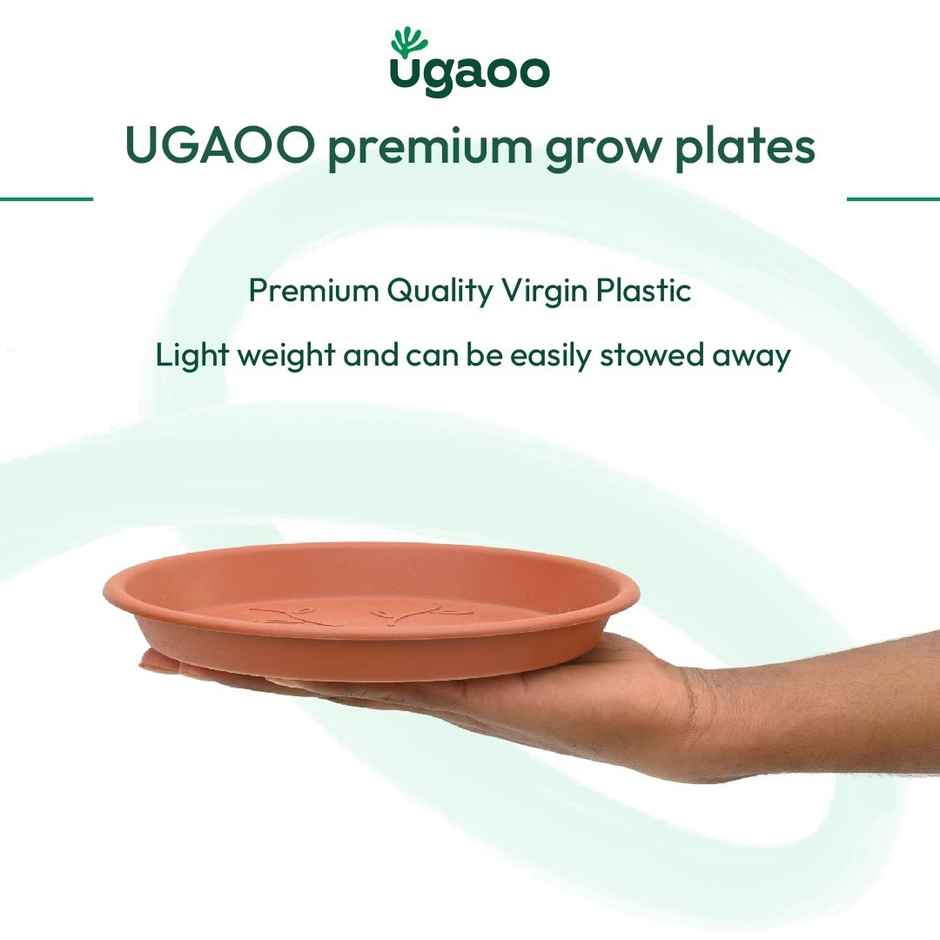 Ugaoo UV Treated Gardening Plastic Tray Plate | Saucer Pots - 8 in | Brown | Terracotta | Set of 6