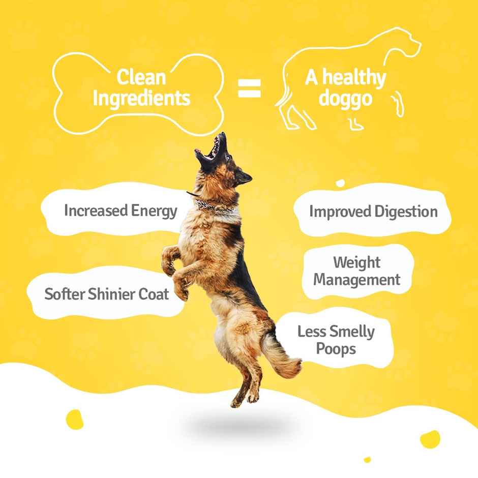 BLEP 100% Natural Dog Food | Chicken Zucchini | 7 Packs | Zero Preservatives Combo