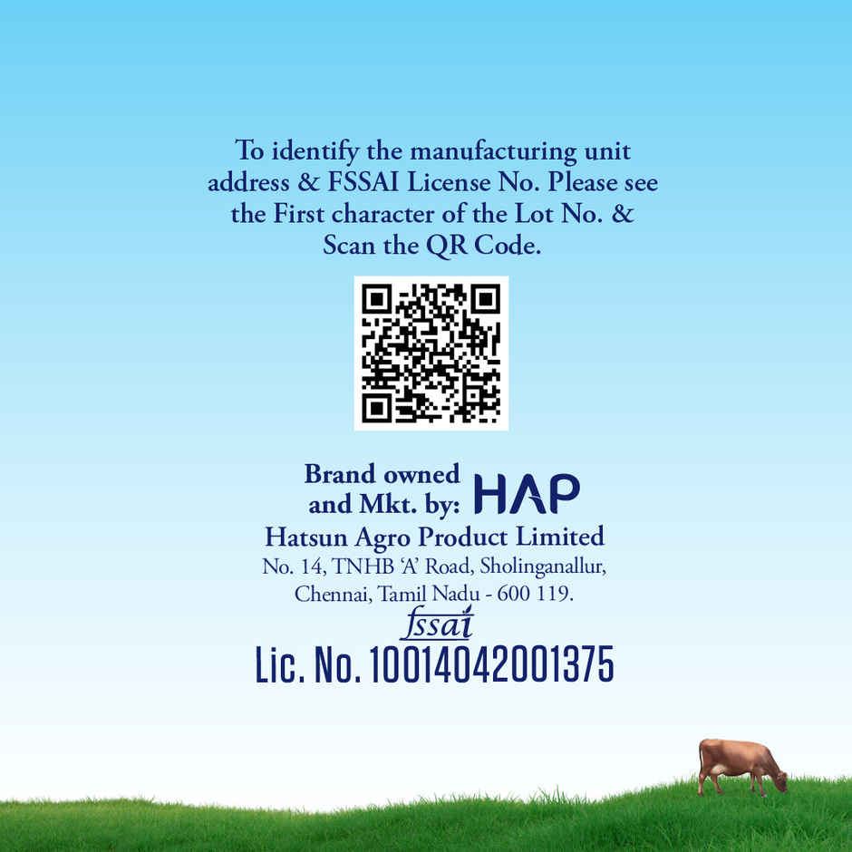 Hatsun Yogurt Drink Blueberry