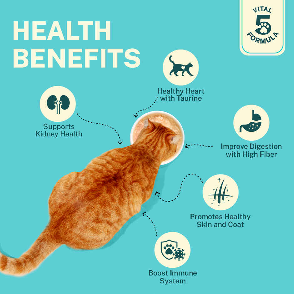 Smylo Kitten Tuna & Salmon Wet Cat Food, Fresh & Preservative-Free