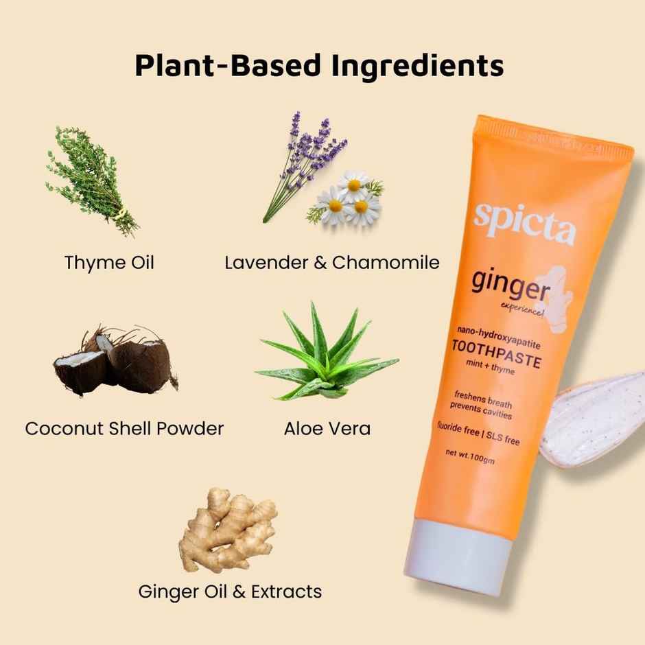 Spicta Ginger Mint Toothpaste
