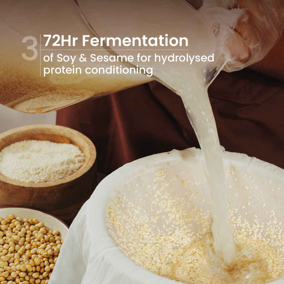 Nat Habit Rosemary Hair Oil For Hairfall Control & Hair Growth (100ml) & Nat Habit Anti-Hair Fall Rosemary Shampoo (250ml) & Nat Habit Anti-Hair Fall Rosemary Conditioner For Women & Men, Hair Tangle Control Sulphate (150ml) Combo