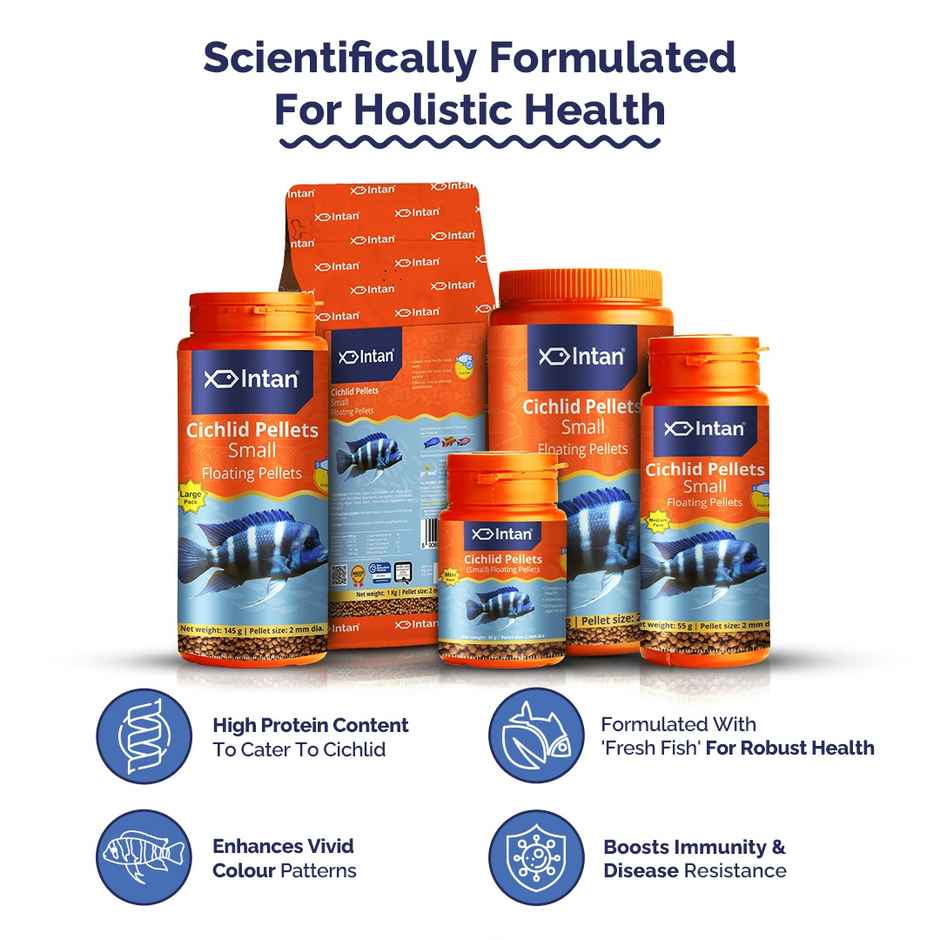 Intan Cichlid Pellets - Fish FOOD for all varieties of Small - Big Cichlids - Small Floating