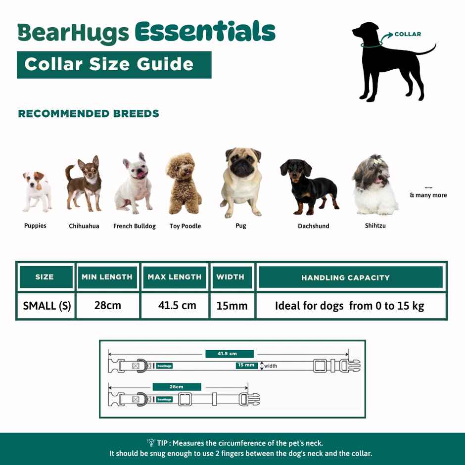 BearHugs Essential Collar | Padded with Lock - Small