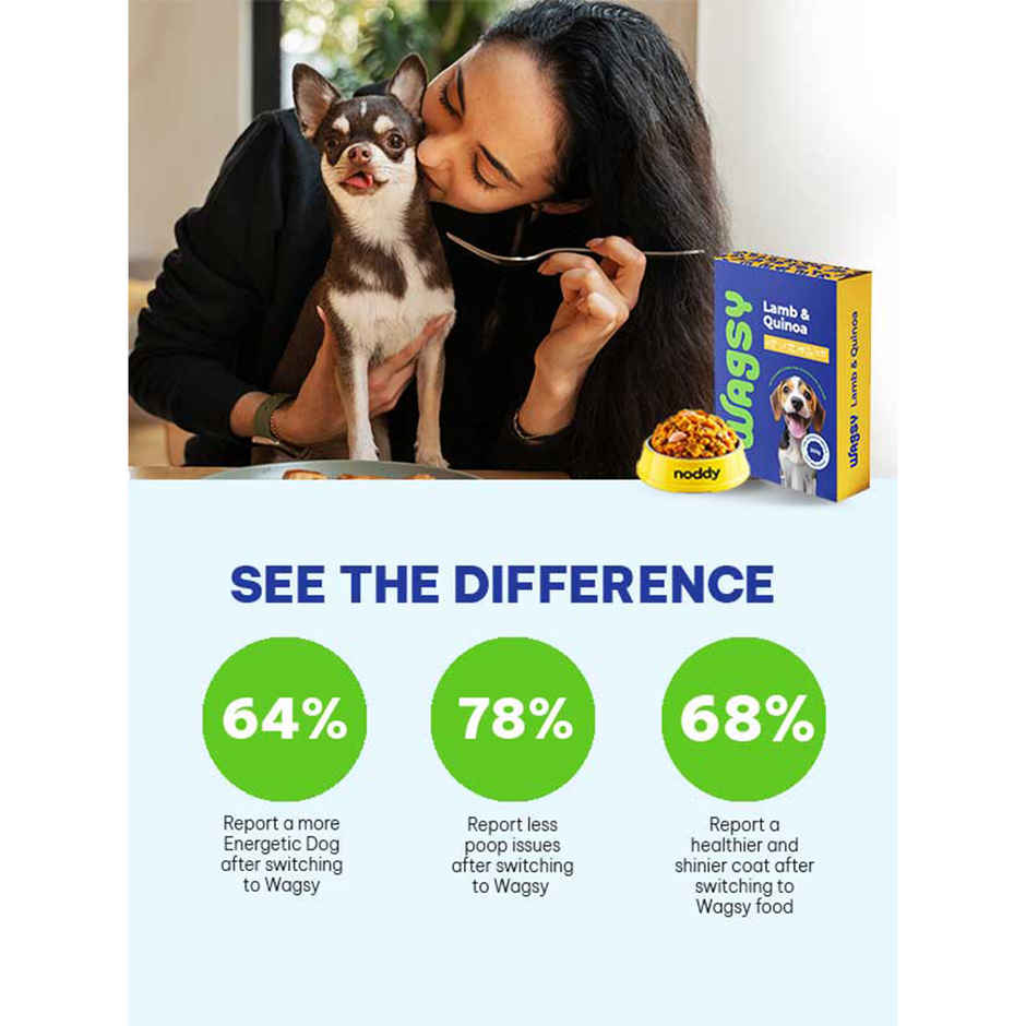 Wagsy - Lamb & Quinoa | Fresh Wet FOOD For Dogs