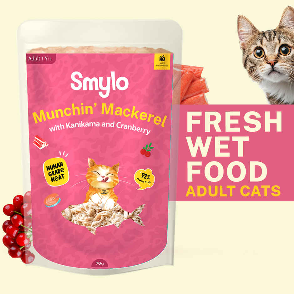Smylo Adult Mackerel Wet Cat Food | Fresh & Preservative-free