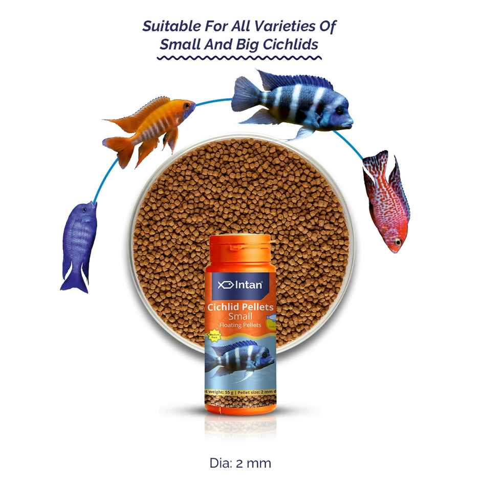 Intan Cichlid Pellets - Fish FOOD for all varieties of Small - Big Cichlids - Small Floating