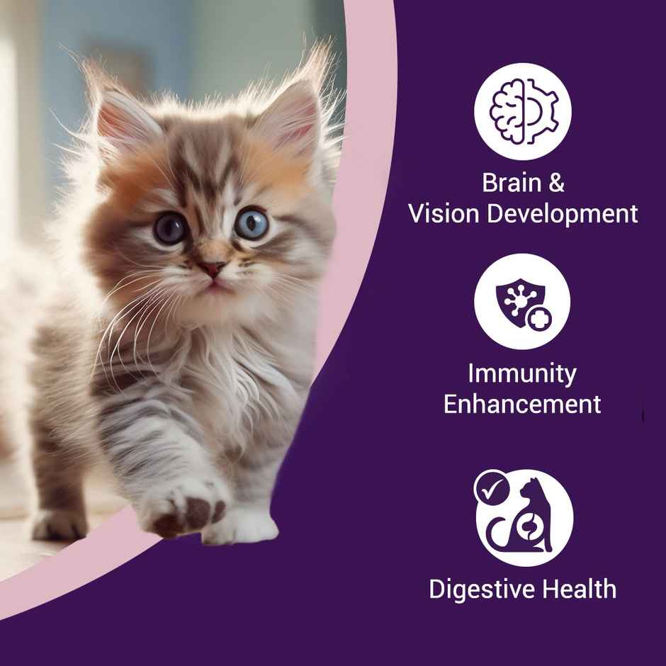 Purrfeto Dry Cat Food Chicken & Ocean Fish | Kitten