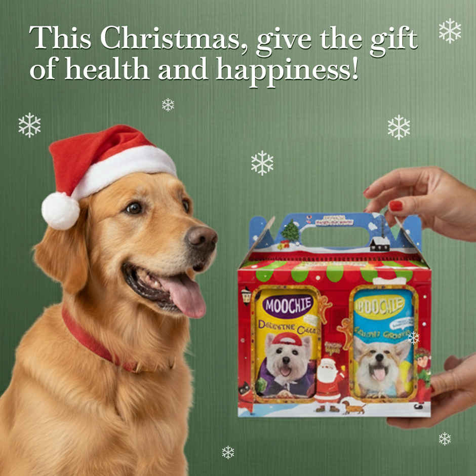 Moochie Dog Wet Food Christmas Hamper | 6 Assorted Flavours | Premium Variety Pack |Festive Gift Box