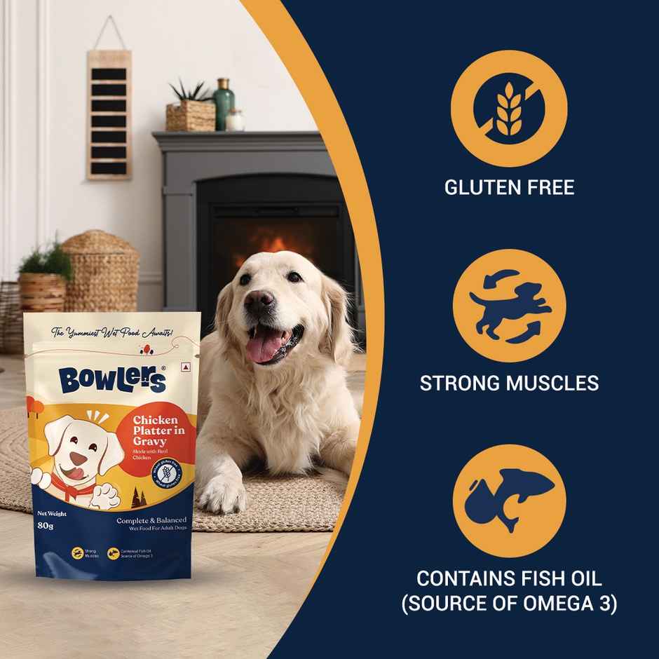 Bowlers Wet Dog FOOD Chicken Recipe In Gravy