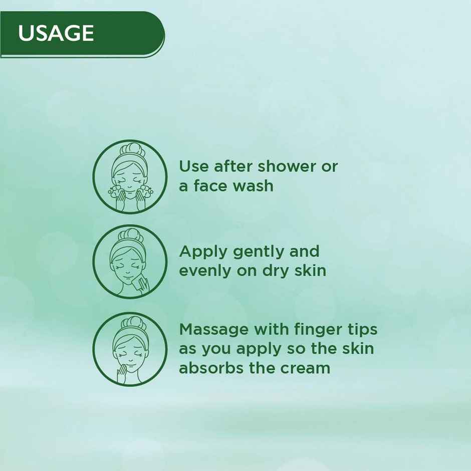 Himalaya Wellness Company Nourshing Skin Cream