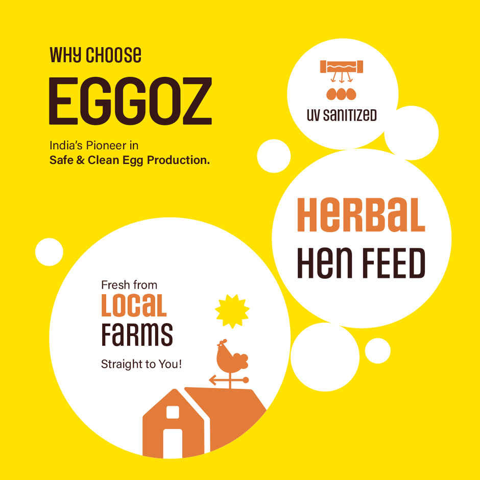 Eggoz Everyday White Farm Fresh Eggs