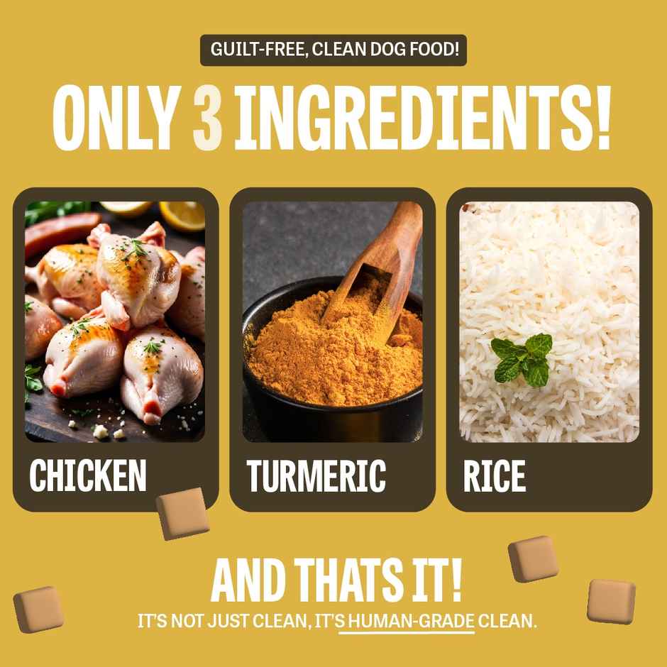 Petcrux Chicken Liver Bits With Turmeric Dog Treats