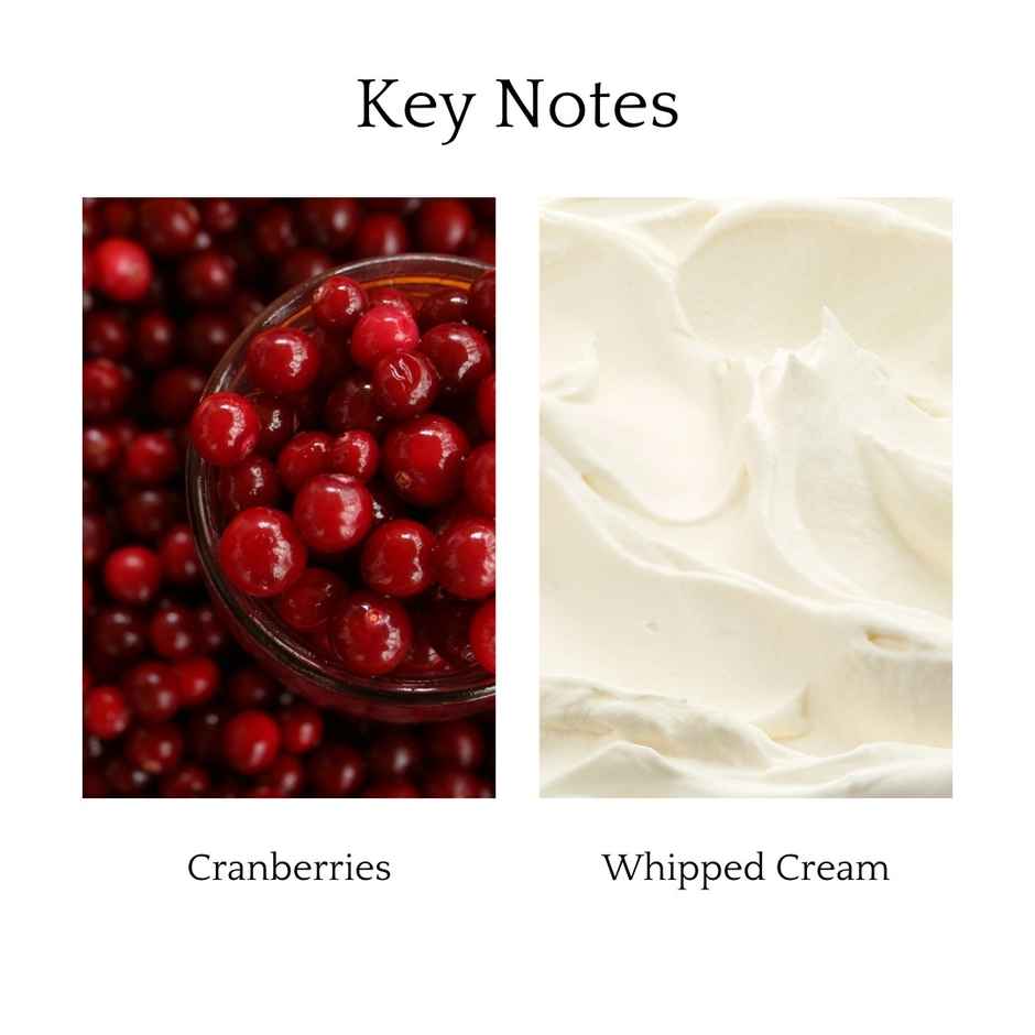 Whipand Wick Cranberry Frappe Scented Candle