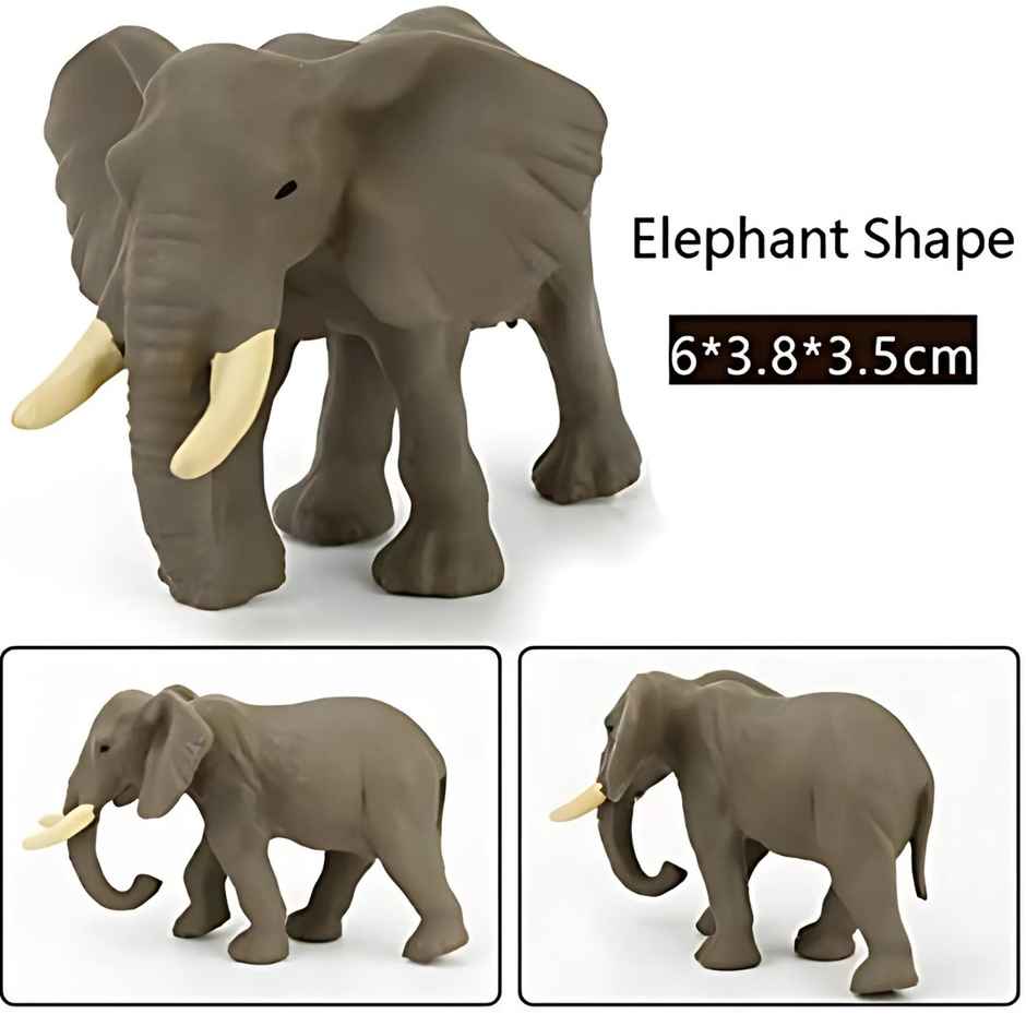 TurtleBee Jungle Animals