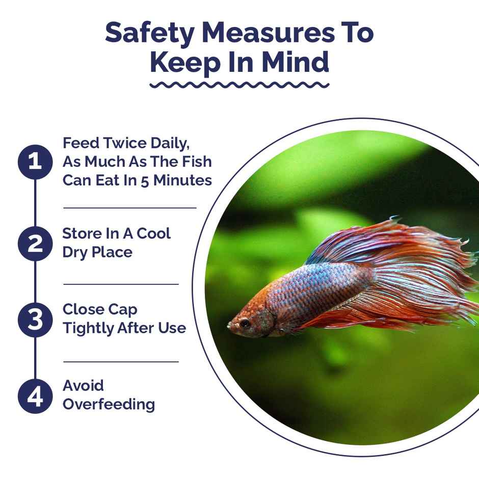 Intan Betta Pellets - Fish FOOD - fighters|Crown tail|Longfin|Big eared|Koi fighter