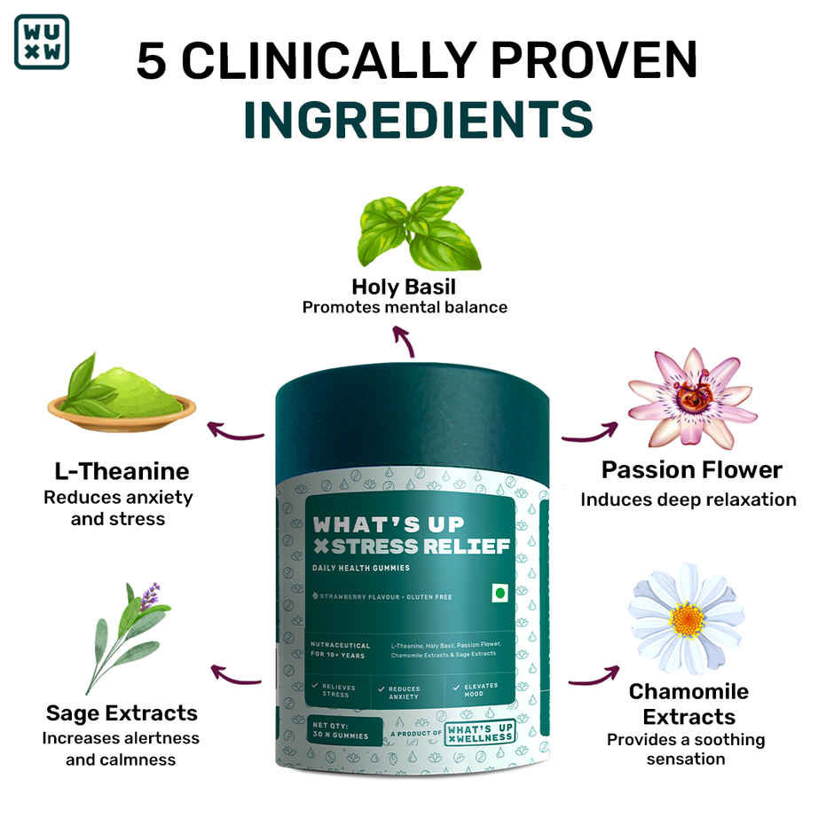 What's Up Wellness What'S Up Stress & Anxiety Relief Gummies 30 Days For Men & Women