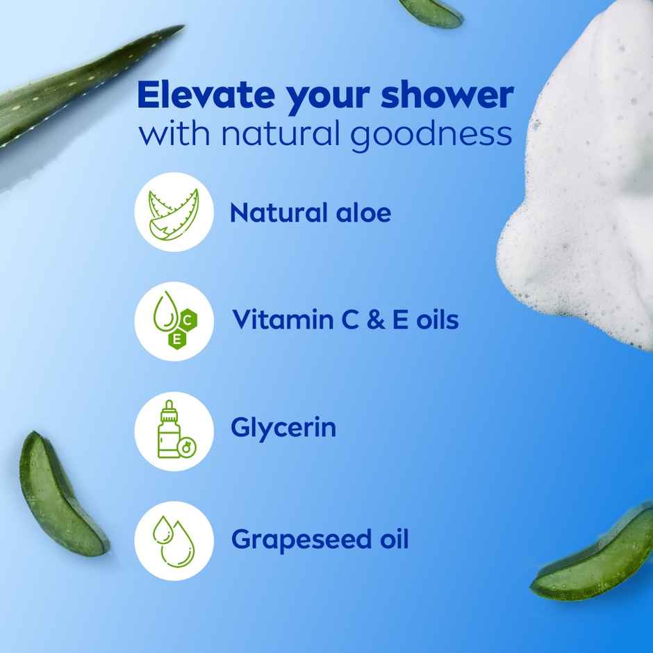 Nivea Shower Gel Natural Aloe