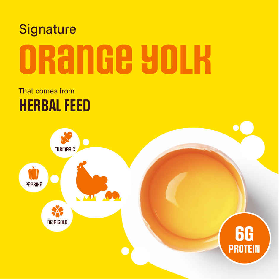 Eggoz Protein Rich Farm Fresh White Eggs