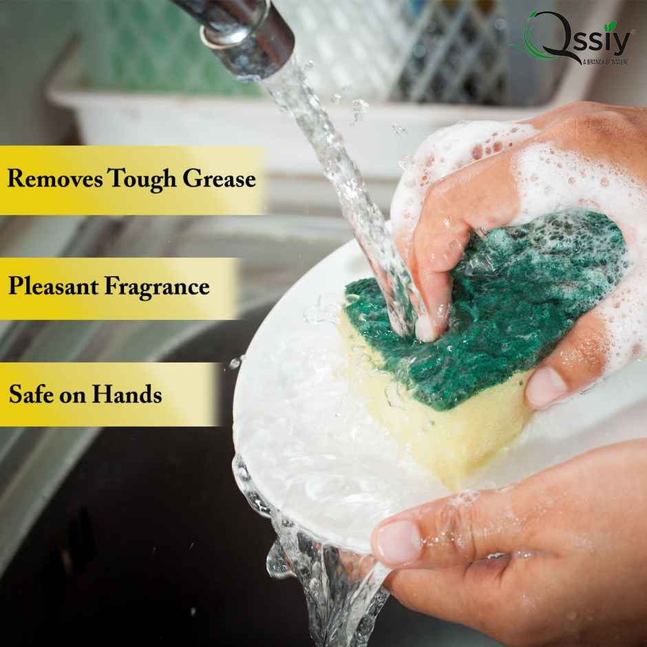 Qssiy Liquid Detergent Top Load Front Load | Detergent Liquid For Washing Machine | Fresh (5L) & Qssiy Lime And Basil Fragrance Dishwash Liquid Gel (5L) Combo 