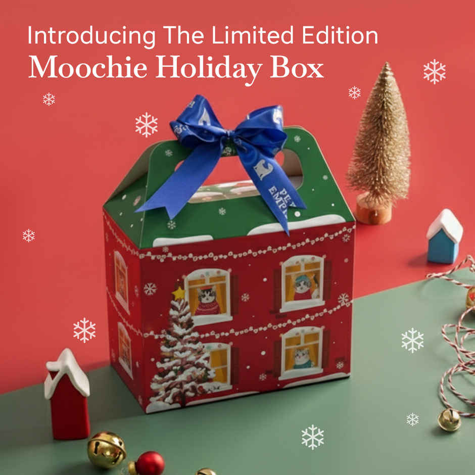 Moochie Cat Wet Food Christmas Hamper | 13 Pouches