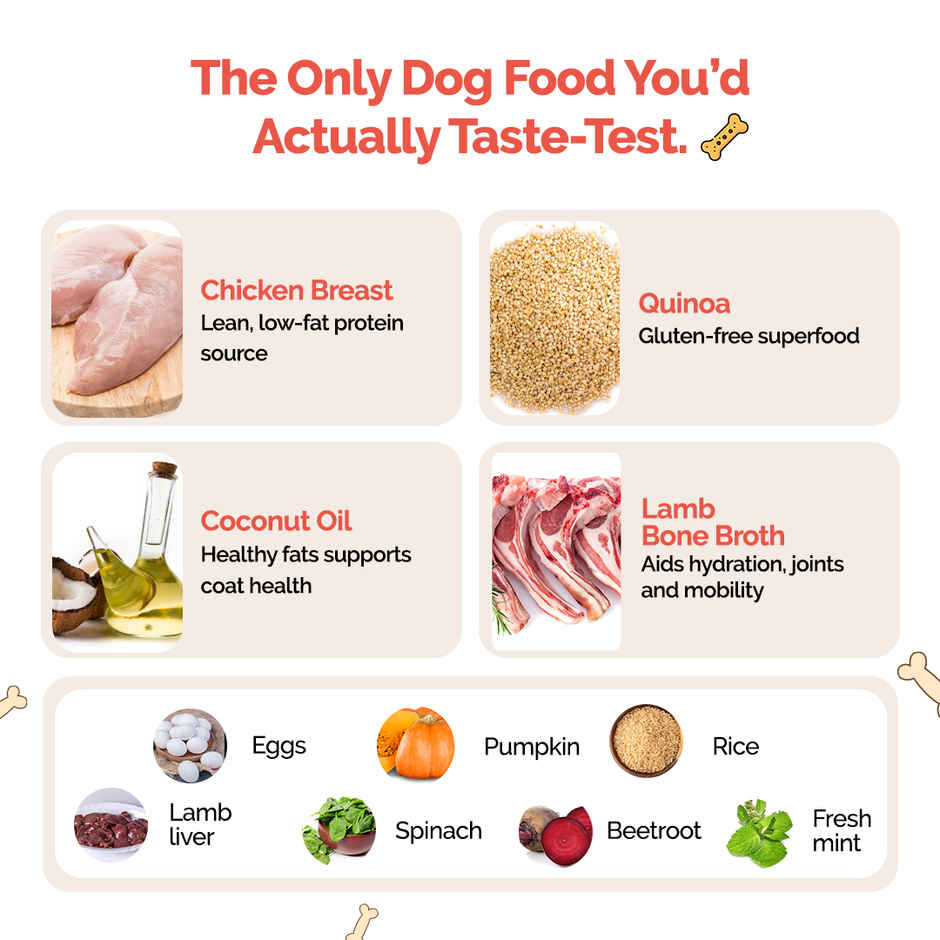 Goofy Tails Lamb & Pumpkin Fresh Dog Food | Gluten Free | Wet Dog and Puppy Food