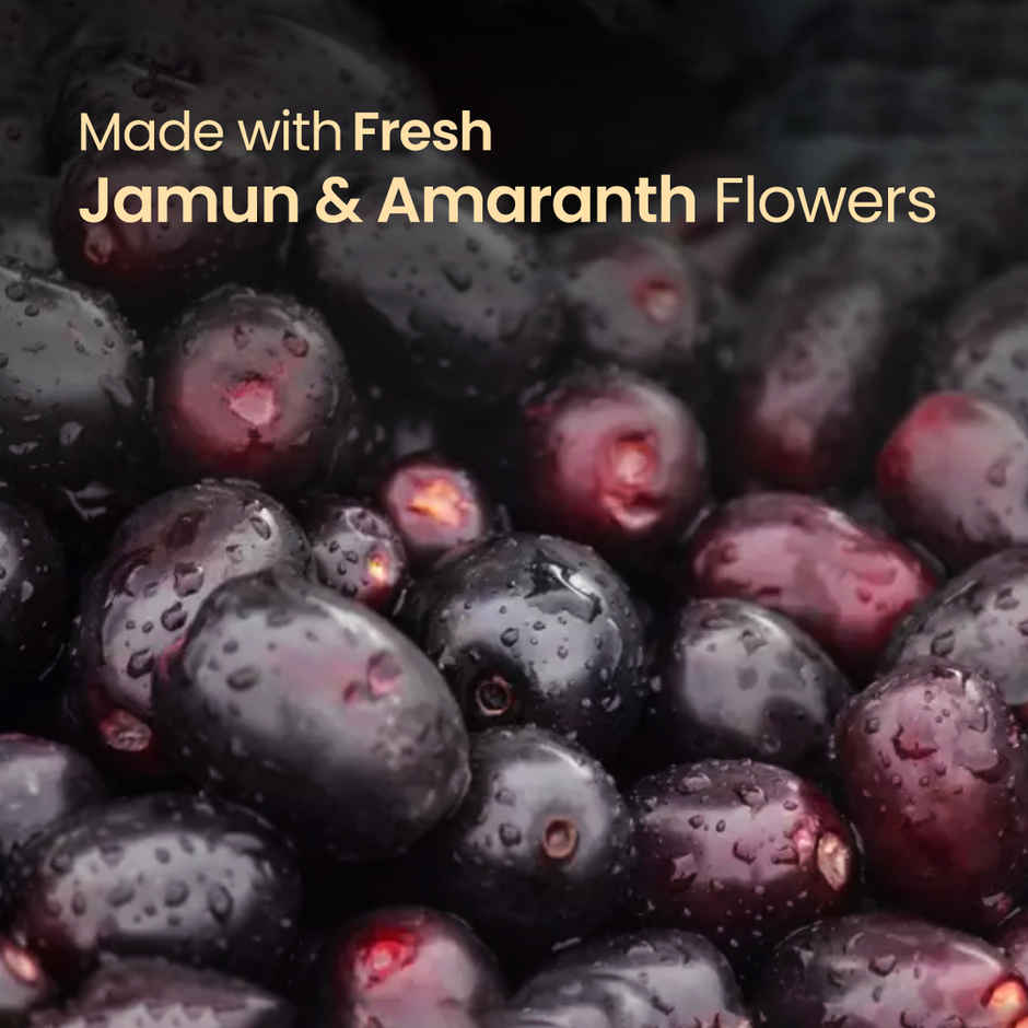 Nat Habit Natural Organic Holi Colour Gulal | Purple | Jamuni Jashn