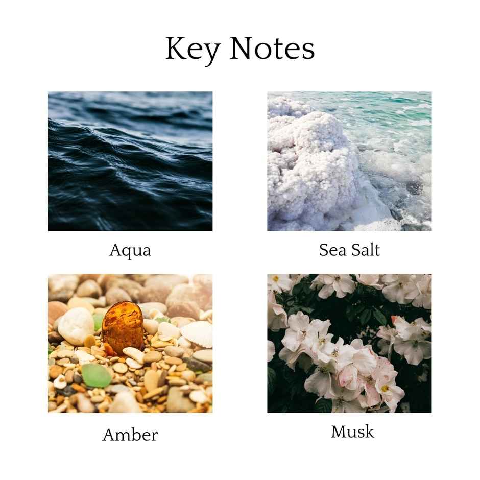 Whipand Wick Ocean Mist Scented Candle