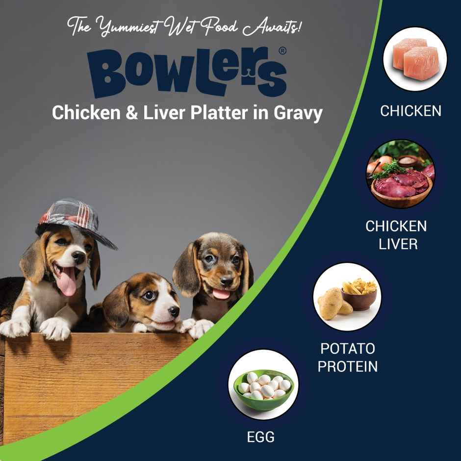 Bowlers Wet Dog FOOD Chicken And Liver Recipe In Gravy | Puppy