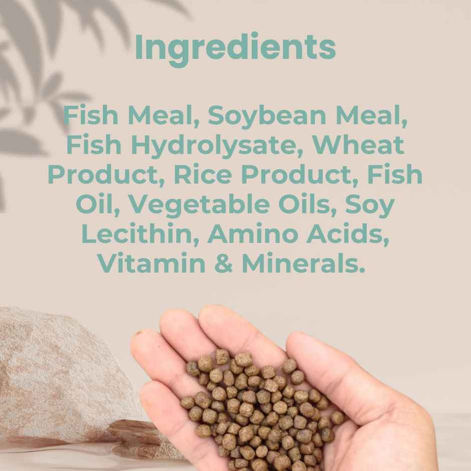 Petcrux Complete Nourishment Fish Food For All Life Stages Mini Pellet