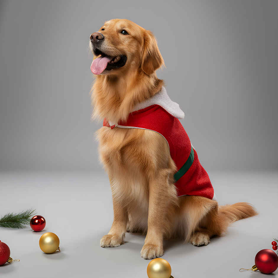 Pawgy Pets Christmas Santa Outfit 3XL