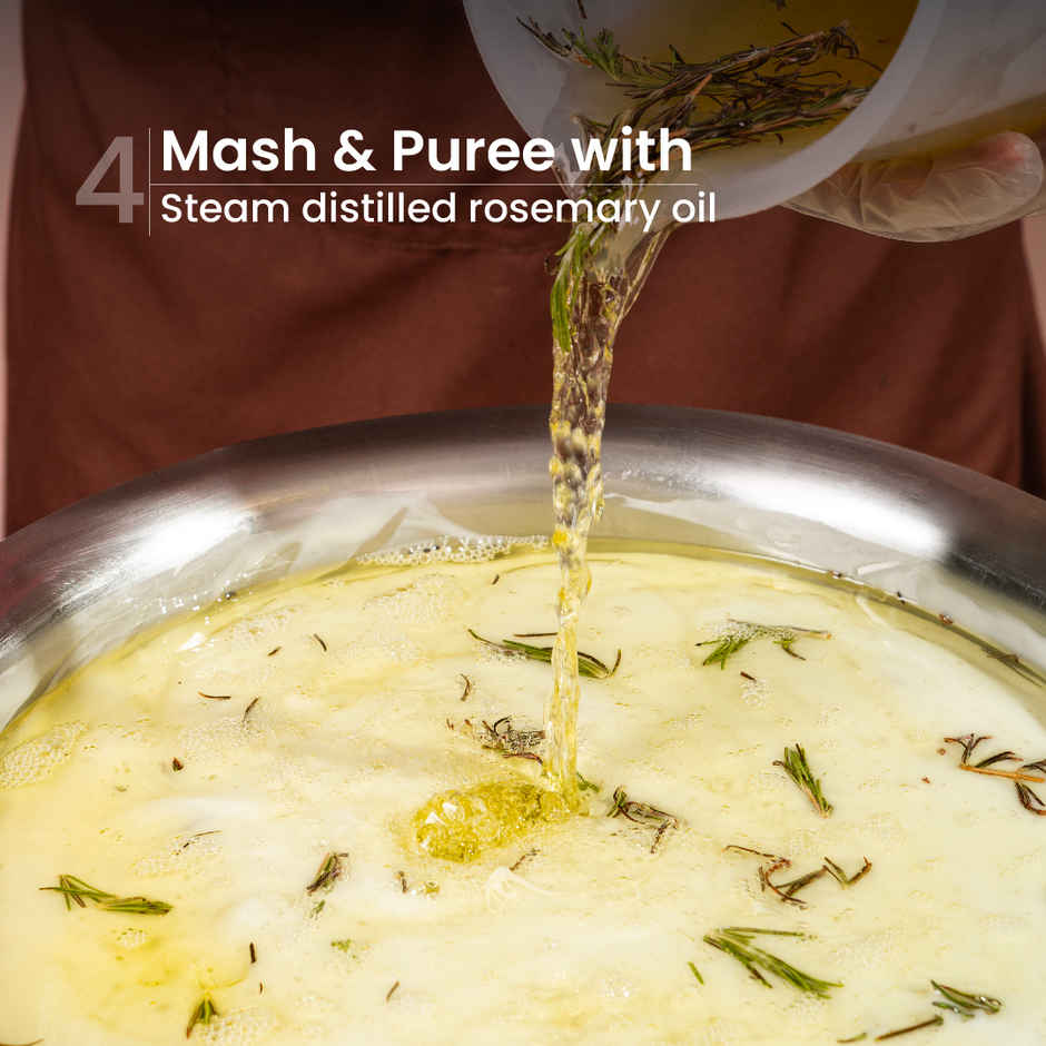 Nat Habit Anti-Hair Fall Rosemary Shampoo (250ml) & Nat Habit Anti-Hair Fall Rosemary Conditioner For Women & Men, Hair Tangle Control Sulphate (150ml) Combo