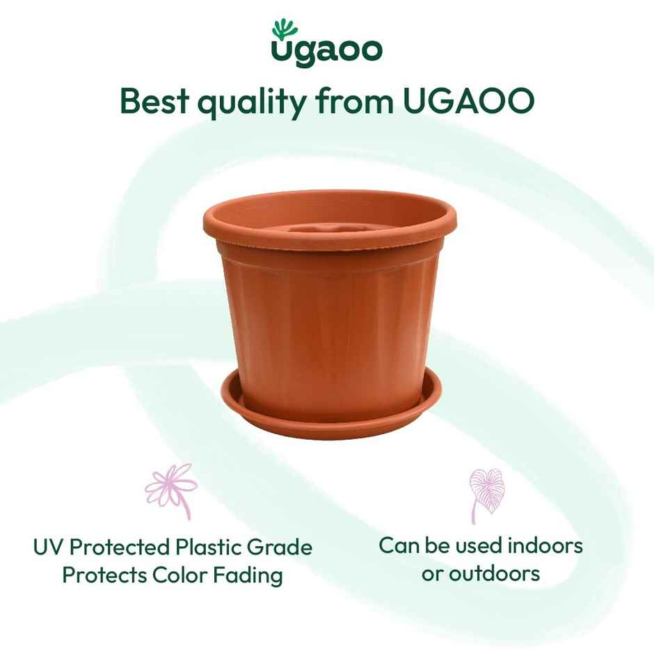 Ugaoo UV Treated Gardening Plastic Tray Plate | Saucer Pots - 10 in | Brown | Terracotta | Set of 6