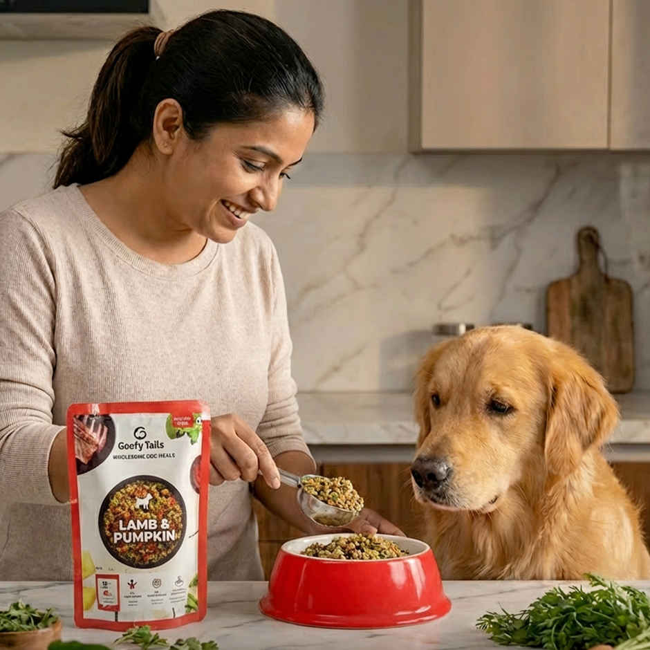 Goofy Tails Lamb & Pumpkin Fresh Dog Food | Gluten Free | Wet Dog and Puppy Food